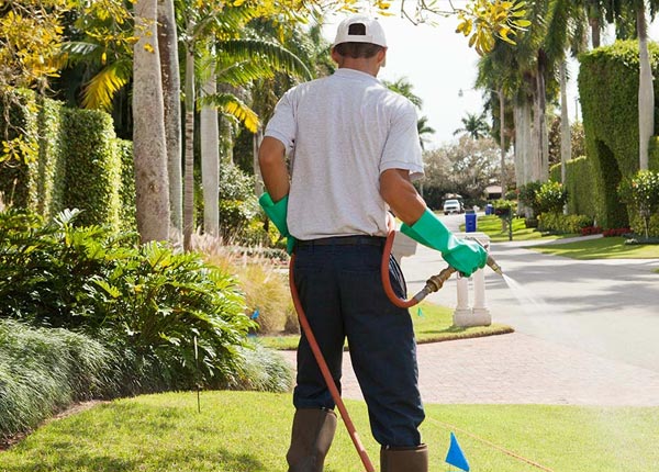 About Winchester KY Pest Control Pros